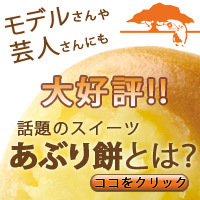 はなまる記念価格★【四季の実】あぶり餅＝バラエティセット＝【和菓子 和SWEETS四季の実ネットショップ】